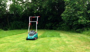 Photo de galerie - Tonte de pelouse 