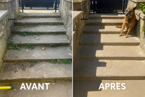 Photo de galerie - Avant/Apres 