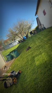 Photo de galerie - Tonte de pelouse