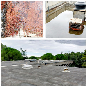 Photo de galerie - Entretien couverture