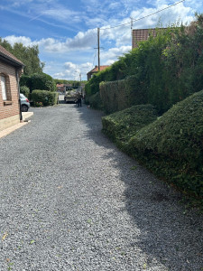 Photo de galerie - Taille de haie 