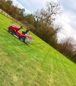 Photo de galerie - Tonte , Débroussaillage 