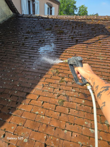 Photo de galerie - Traitement anti mousse hydrofuge dalep2100 