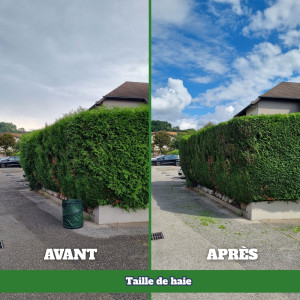 Photo de galerie - Taille de haie