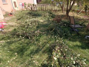 Photo de galerie - Paysagiste - Aménagement du jardin