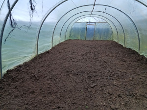 Photo de galerie - Entretien d'un potager sous serre 
