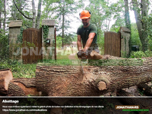 Photo de galerie - Intervention d'urgence, débitage arbre tombé devant portail d'accès