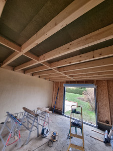 Photo de galerie - Ossature bois