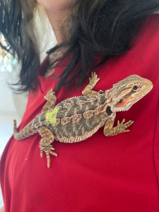 Photo de galerie - NAC à domicile 