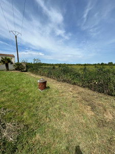 Photo de galerie - Tonte de pelouse - Débroussaillage
