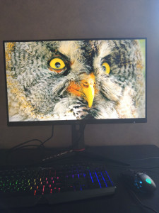 Photo de galerie - Montage divers pc fixe  complets à tout budget .