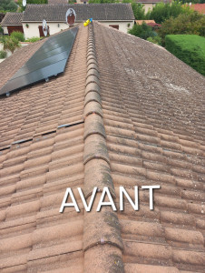 Photo de galerie - Démoussage de toiture.  peinture spéciale 