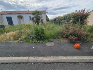 Photo de galerie - Terrain laissé à l'abandon 