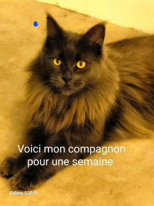 Photo de galerie - Jsui affectueux moi
