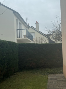 Photo de galerie - TAILLE DE HAIES DE THUYA 