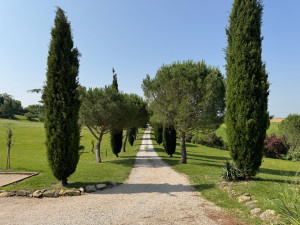 Photo de galerie - Entretien du jardin
