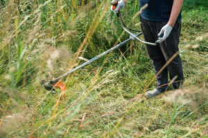 Photo de galerie - Débrouillement, arrachage de haie...