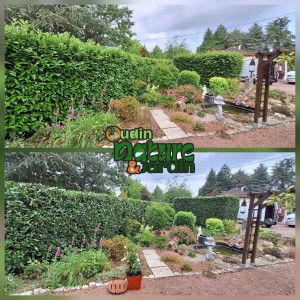 Photo de galerie - Taille de haies et d'arbustes