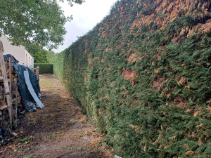 Photo de galerie - Après 