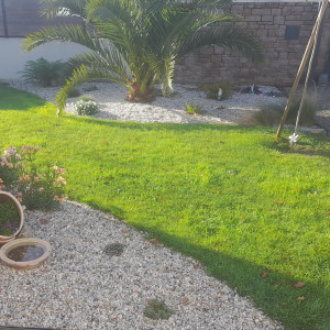 Photo de galerie - Paysagiste - Aménagement du jardin