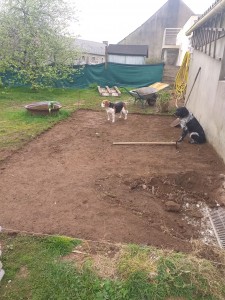 Photo de galerie - Début 