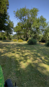 Photo de galerie - Tonte de pelouse 