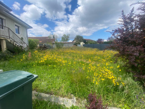 Photo de galerie - Tonte de pelouse - Débroussaillage