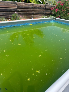 Photo de galerie - Entretien piscine