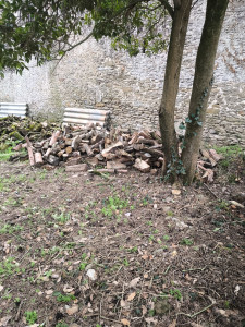 Photo de galerie - Bois