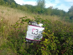 Photo de galerie - Tonte de pelouse - Débroussaillage