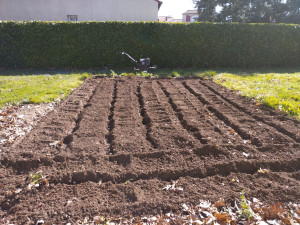 Photo de galerie - Préparation d'un terrain pour jardin. 
