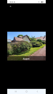 Photo de galerie - Taille de haies et d'arbustes