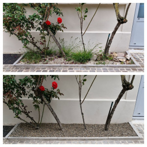 Photo de galerie - Paysagiste - Aménagement du jardin