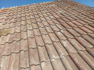 Photo de galerie - N'hésitez pas à me contacter