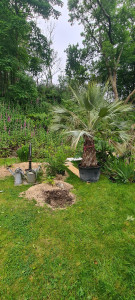 Photo de galerie - Paysagiste - Aménagement du jardin