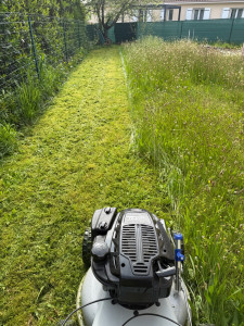 Photo de galerie - Remis en état 