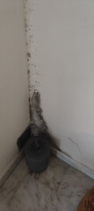 Photo de galerie - Ménage