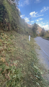 Photo de galerie - Debroussaillage manuel 