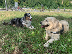 Photo de galerie - Garde à la journée 