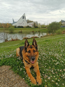 Photo de galerie - Cadre agréable 