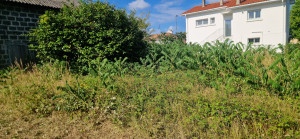 Photo de galerie - Jardinier