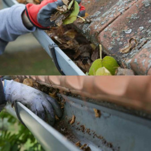 Photo de galerie - Couverture - Toiture