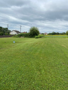 Photo de galerie - Tonte de pelouse - Débroussaillage