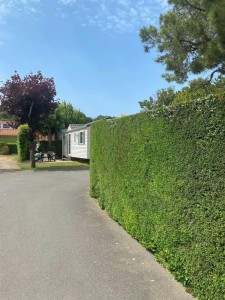 Photo de galerie - Jardinier