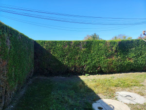Photo de galerie - Taille douce 
