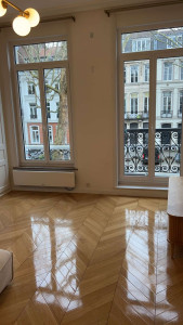 Photo de galerie - Nettoyeur de vitres