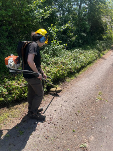 Photo de galerie - .