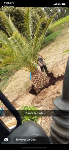 Photo de galerie - Paysagiste - Aménagement du jardin