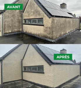 Photo de galerie - Nettoyage demoussage façades 