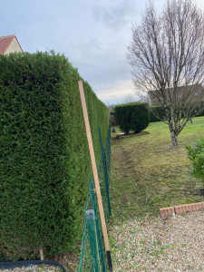 Photo de galerie - Taille haie tonte pelouse etc 